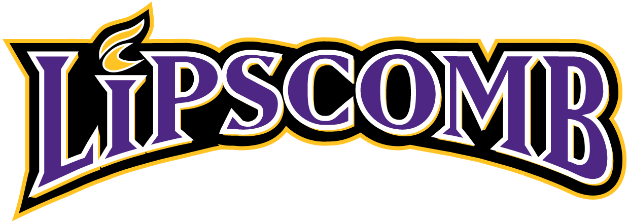 Lipscomb Bisons 2002-2011 Wordmark Logo diy DTF decal sticker